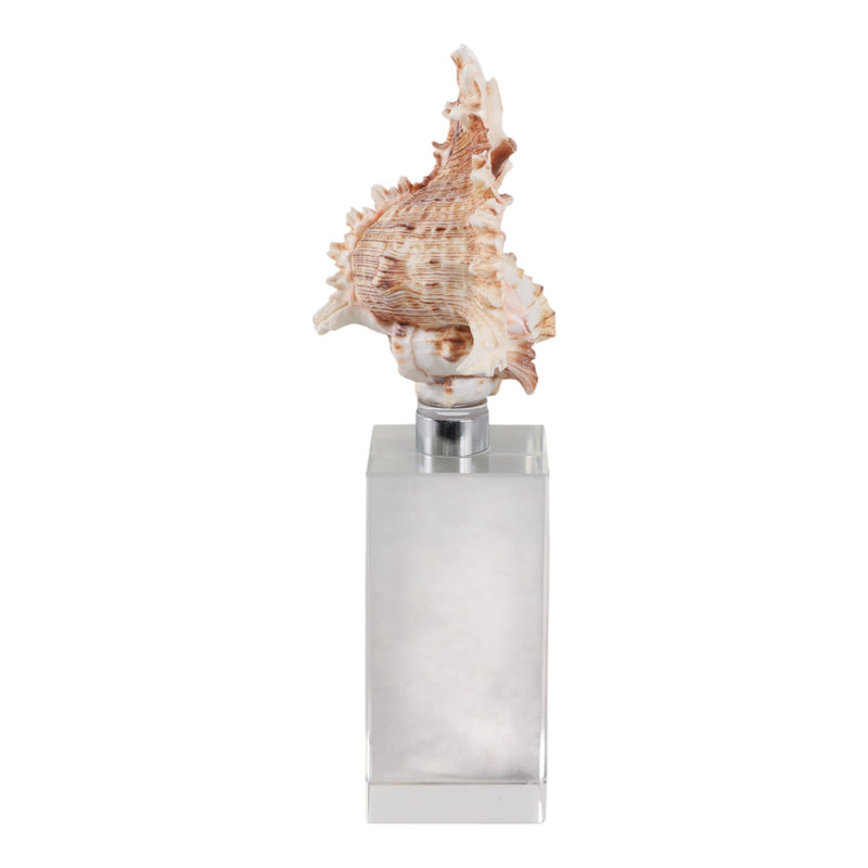 8x2-shell-on-crystal-base-ivory-clear-3