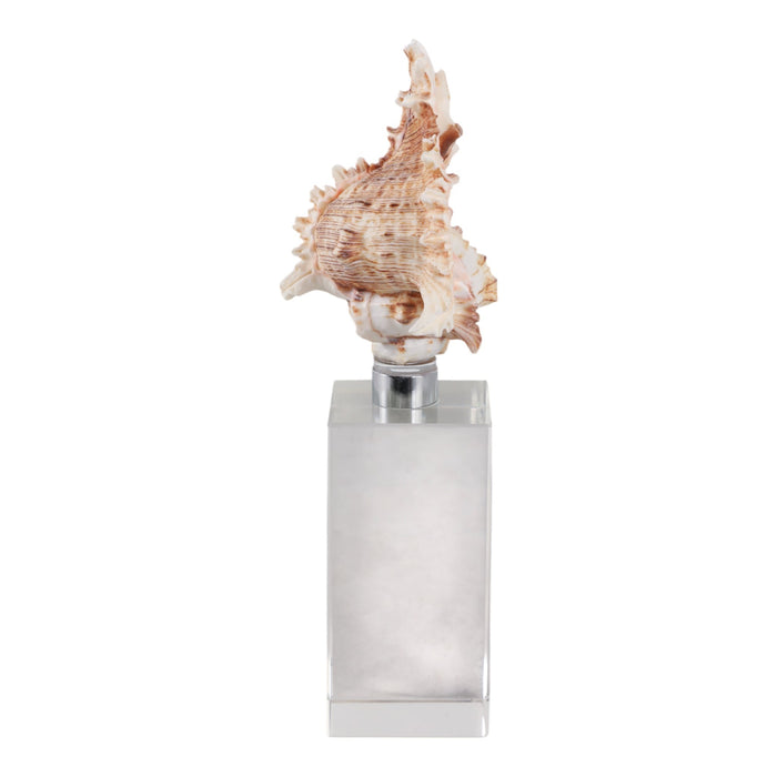 8x2-shell-on-crystal-base-ivory-clear-3