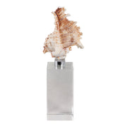 8x2-shell-on-crystal-base-ivory-clear-4