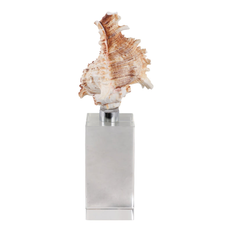 8x2-shell-on-crystal-base-ivory-clear-4