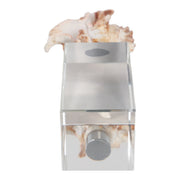 8x2-shell-on-crystal-base-ivory-clear-7