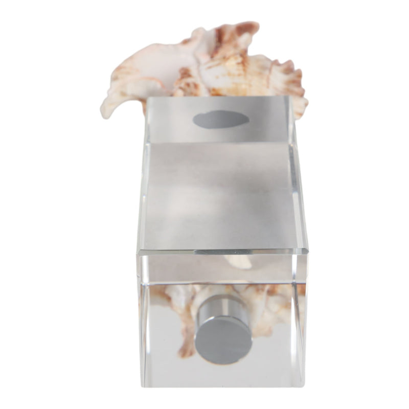 8x2-shell-on-crystal-base-ivory-clear-7