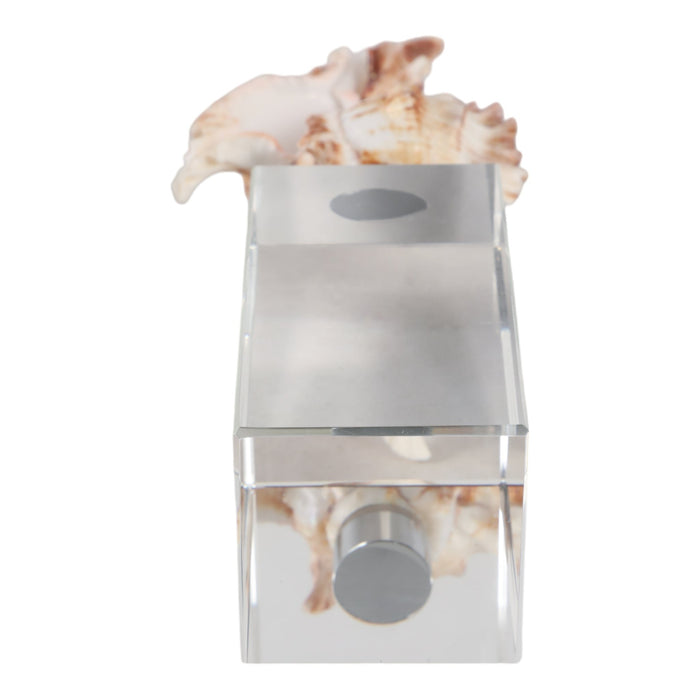 8x2-shell-on-crystal-base-ivory-clear-7