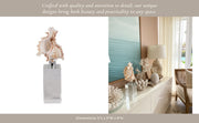 8x2-shell-on-crystal-base-ivory-clear-9