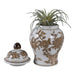 8x5-chinoiserie-begonia-temple-jar-brown-white-2