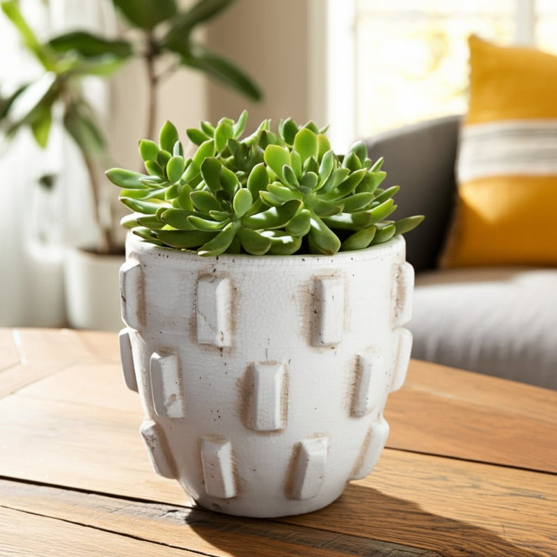 8x7-sculptural-hobnail-planter-white-11