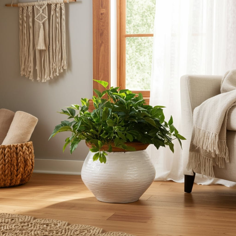 8x8-tapered-urn-planter-white-tan-10