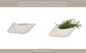 9-conch-shell-planter-white-12