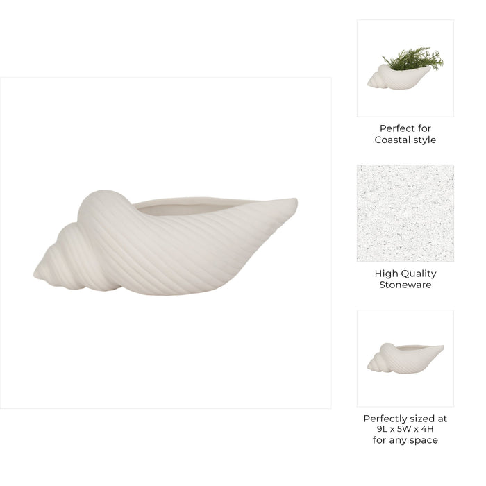 9-conch-shell-planter-white-9