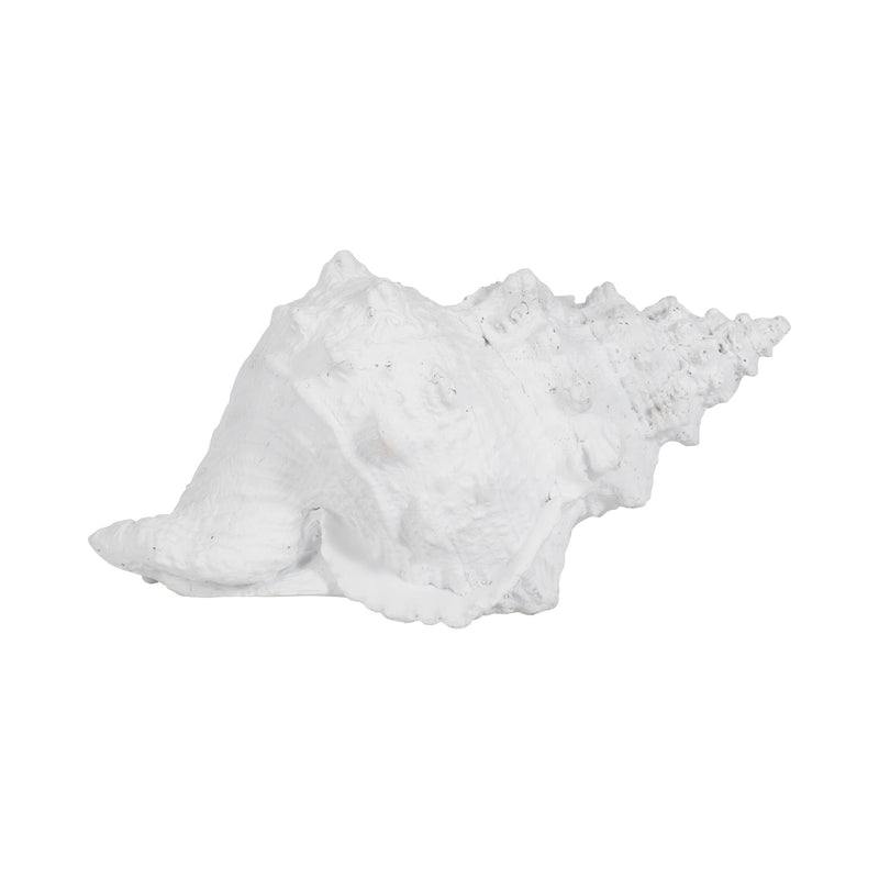 9-conch-shell-white-1