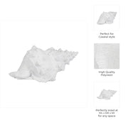 9-conch-shell-white-10