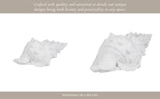 9-conch-shell-white-11