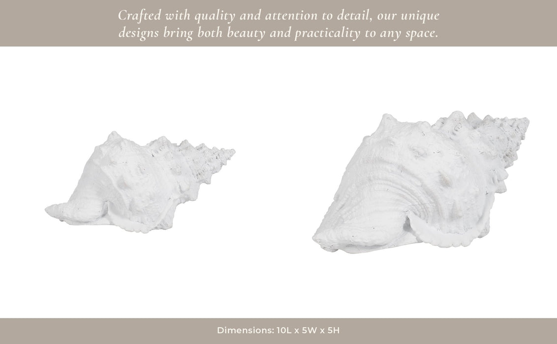 9-conch-shell-white-11