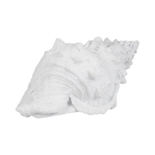 9-conch-shell-white-2