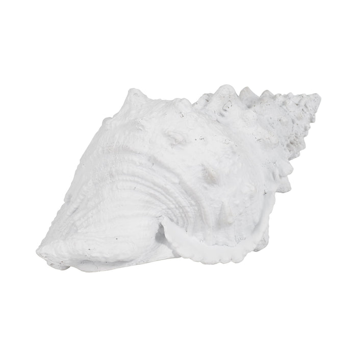 9-conch-shell-white-2