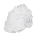 9-conch-shell-white-3