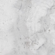 9-conch-shell-white-6