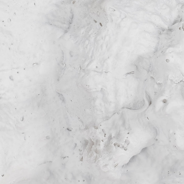 9-conch-shell-white-6