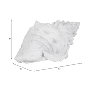 9-conch-shell-white-9