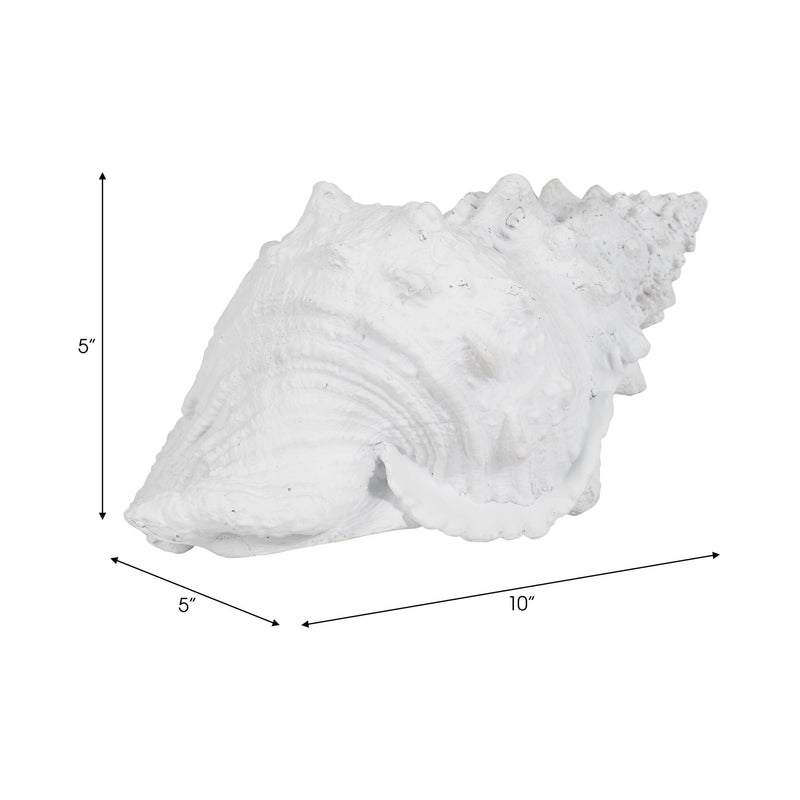 9-conch-shell-white-9