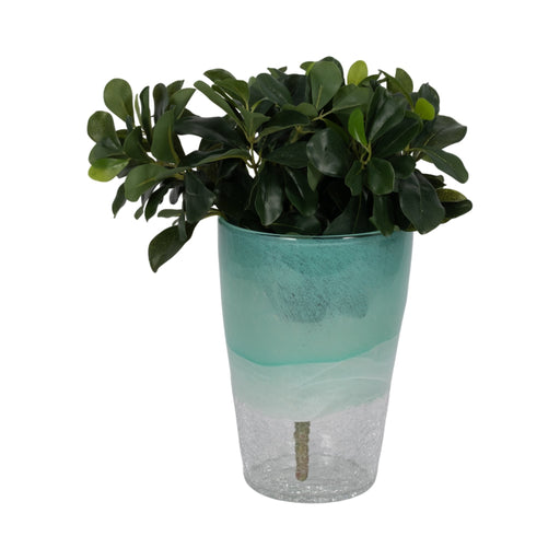 9-fluted-glass-vase-aqua-haze-2