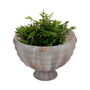 9-glass-pedestal-bowl-opal-finish-ivory-multi-2