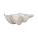 9-pearlized-shell-bowl-ivory-1