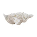 9-pearlized-shell-bowl-ivory-2