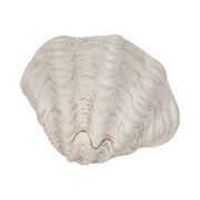 9-pearlized-shell-bowl-ivory-8