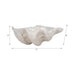9-pearlized-shell-bowl-ivory-9