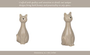 9-skinny-sitting-kitty-grey-13
