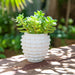 9-woven-knot-planter-white-4