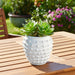 9-woven-knot-planter-white-5