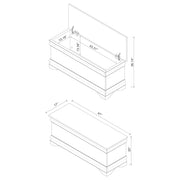 Pablo Cedar Chest - Furniture City (CA)l