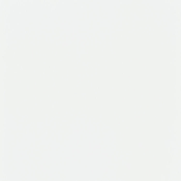 Roberto 4-panel Folding Screen Black and White