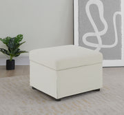 Winter Storage Ottoman - Furniture City (CA)l