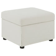Winter Storage Ottoman - Furniture City (CA)l