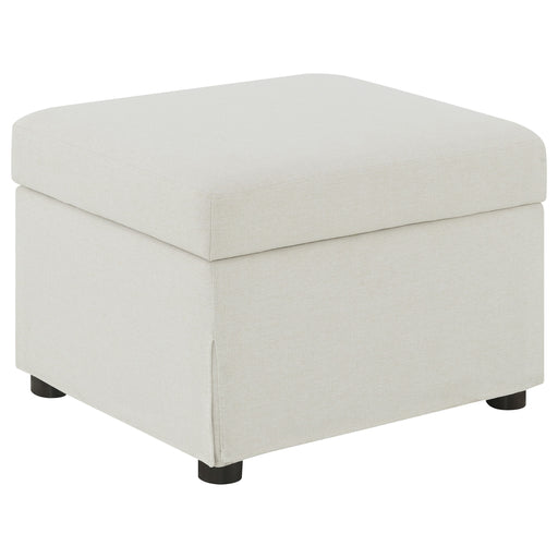 Winter Storage Ottoman - Furniture City (CA)l