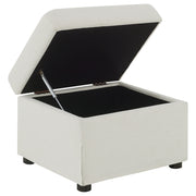 Winter Storage Ottoman - Furniture City (CA)l