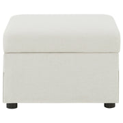 Winter Storage Ottoman - Furniture City (CA)l