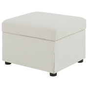 Winter Storage Ottoman - Furniture City (CA)l