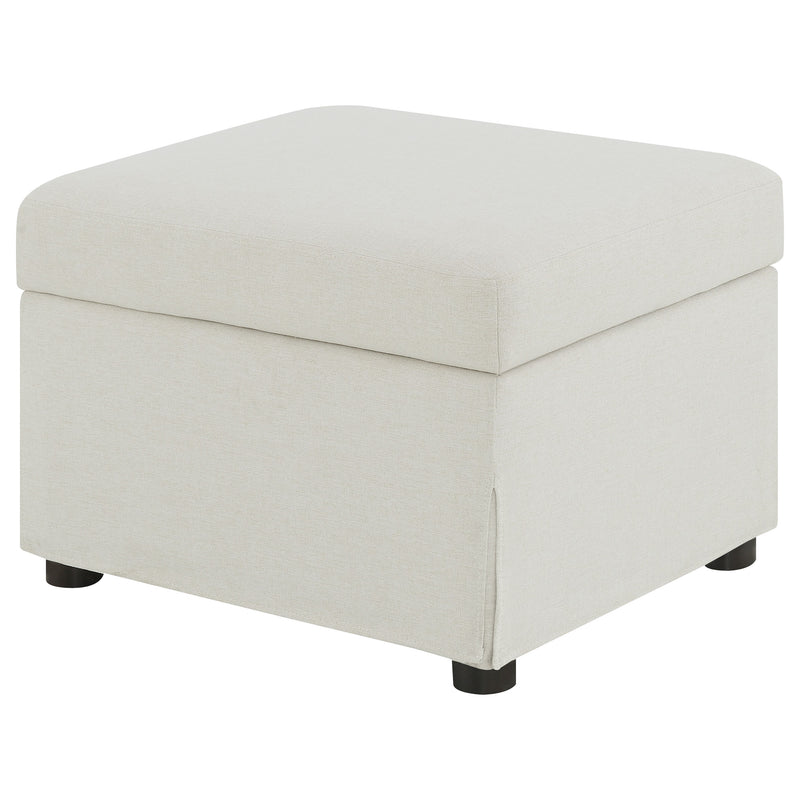 Winter Storage Ottoman - Furniture City (CA)l