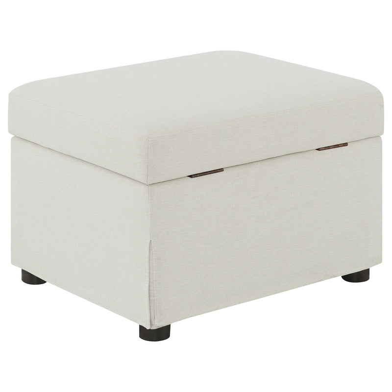 Winter Storage Ottoman - Furniture City (CA)l