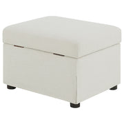 Winter Storage Ottoman - Furniture City (CA)l