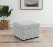 Winter Storage Ottoman - Furniture City (CA)l