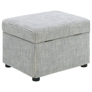 Winter Storage Ottoman - Furniture City (CA)l