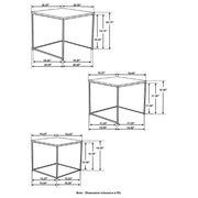 Belcourt Nesting Table Set - Furniture City (CA)l