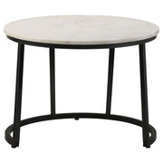 Miguel Coffee Table - Furniture City (CA)l