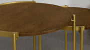 Malka Nesting Table Set - Furniture City (CA)l