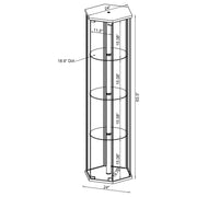 Zahavah Curio Cabinet - Furniture City (CA)l